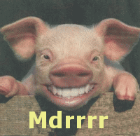 petit cochon